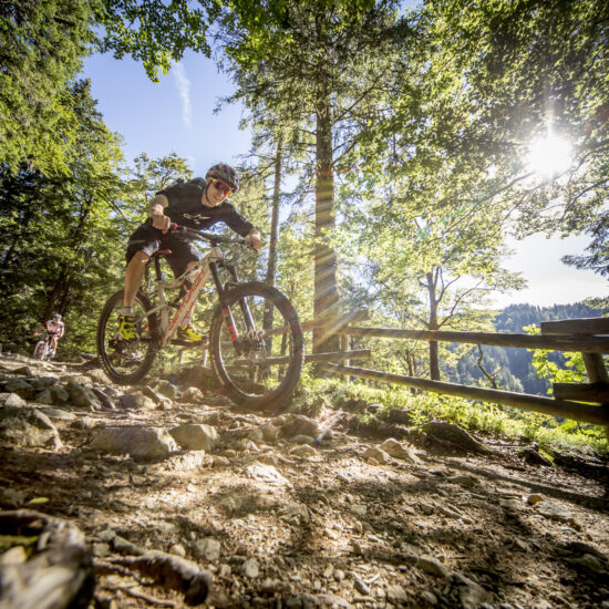 Bike_Centurion (9)