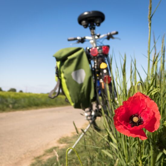 didgeman-to-go-biking-5178398